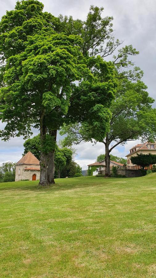 Domaine De Montvianeix Bed & Breakfast Saint-Victor-Montvianeix Luaran gambar