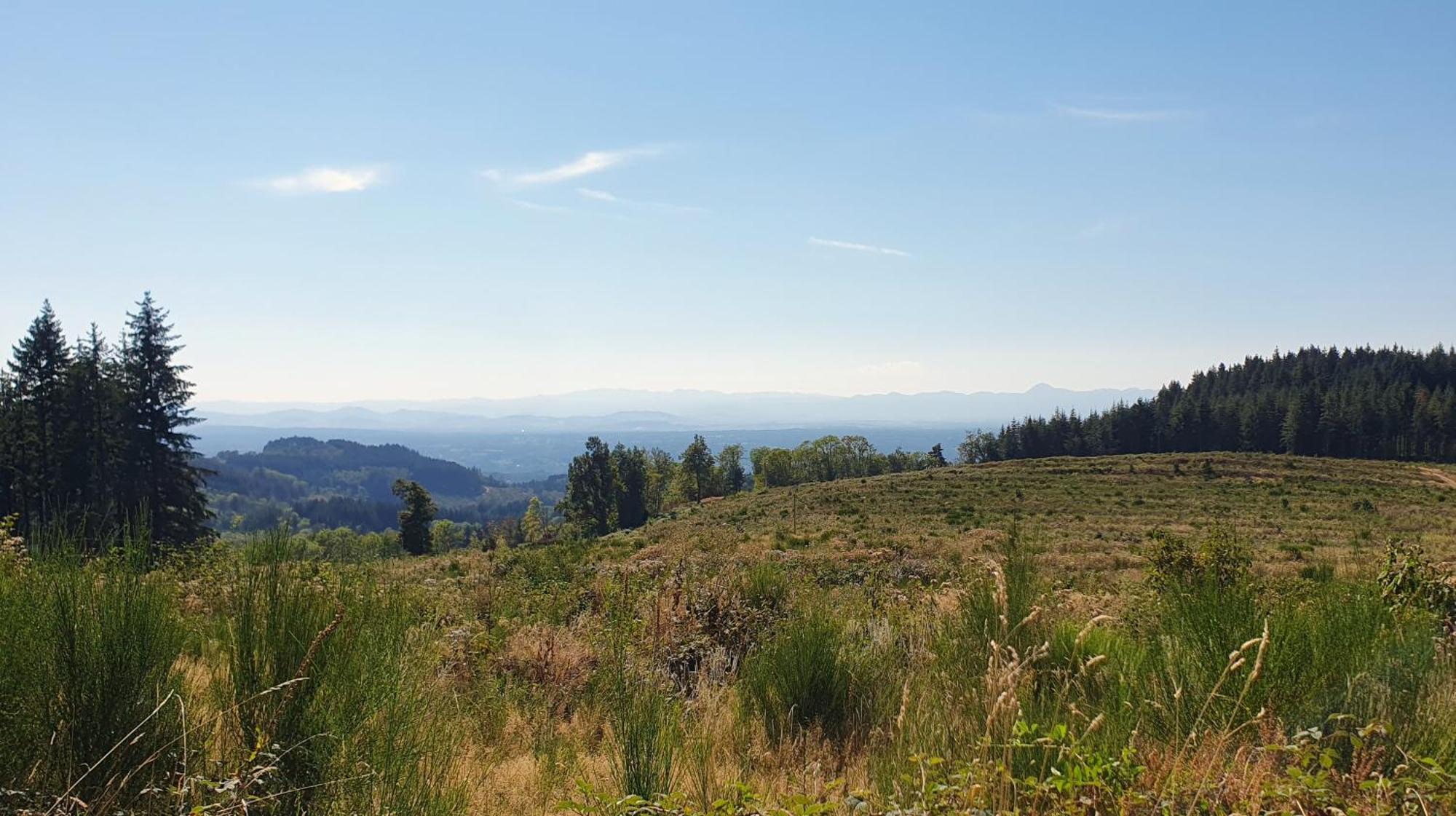 Domaine De Montvianeix Bed & Breakfast Saint-Victor-Montvianeix Luaran gambar