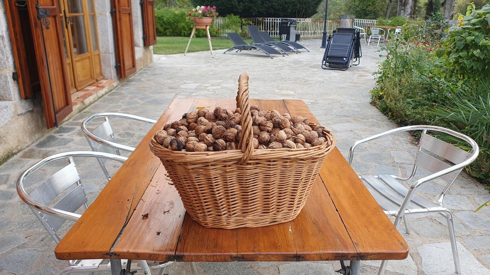 Domaine De Montvianeix Bed & Breakfast Saint-Victor-Montvianeix Luaran gambar
