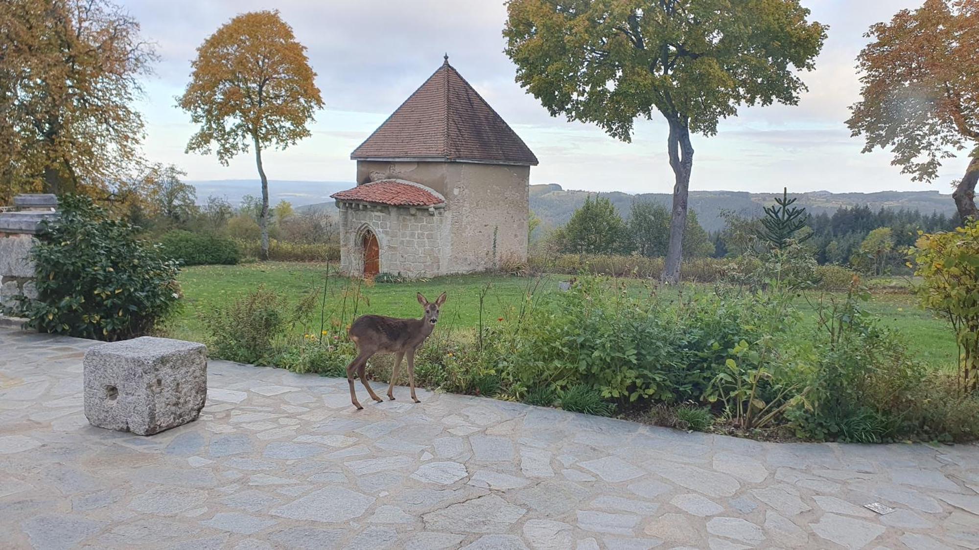 Domaine De Montvianeix Bed & Breakfast Saint-Victor-Montvianeix Luaran gambar